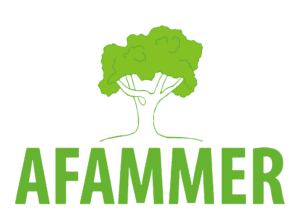 AFAMMER LOGO CUADRADO sin fondo 1